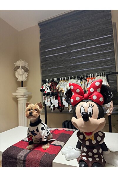 Mickey Mouse Desenli Köpek Kıyafeti-Happy Paws Mickey Sweat-S