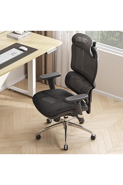 ALTIS by SIHOO M56B-V2-M101 Ergonomic Office Chair, High Back Desk,Lumbar Sup...