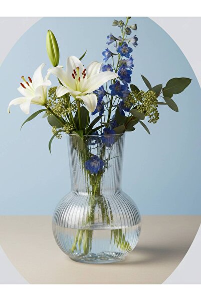 IKEA Padrag Cam Vazo 17 cm - Dekoratif Çiçek Vazosu Şeffaf Estetik Tasarım