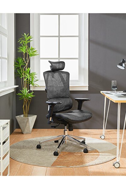 ALTIS by SIHOO M90C- N401 Ergonomic Office Chair, High Back Desk, Lumbar Supp...