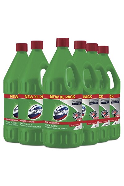 Flippy Domestos Professional Pine Fresh Package – Υγρό Απορρυπαντικό Απολυμαν...