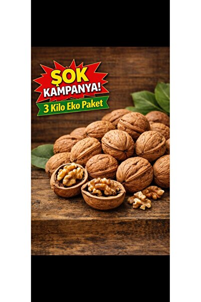 zernut Kabuklu Ceviz Organik Dağ Cevizi