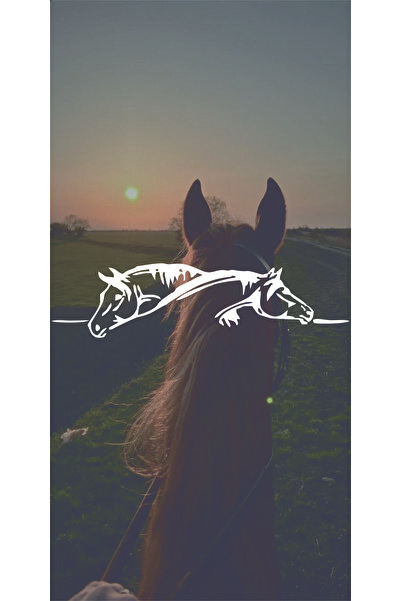 sticker At 20x5Cm Atlar Jdm Araba-moto-laptop Cam Etiket Hologram Seçenekli E...