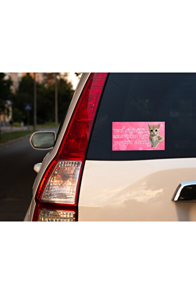 DRN DİZAYN Yeni Sürücüyüm Anlayışınız İçin Teşekkür Ederim Sevimli Kedi Araç ...