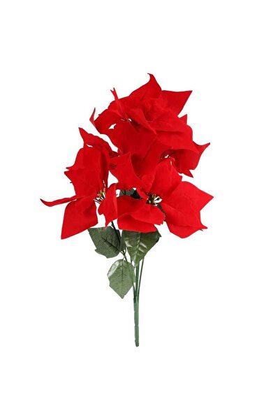 Goliat Buchet 6 POINSECJI catifea 52 cm culoare roșie