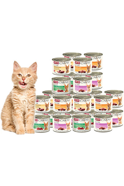 Animonda Wet cat food for kittens Carny Kitten MIX of Flavors Set 24x200g