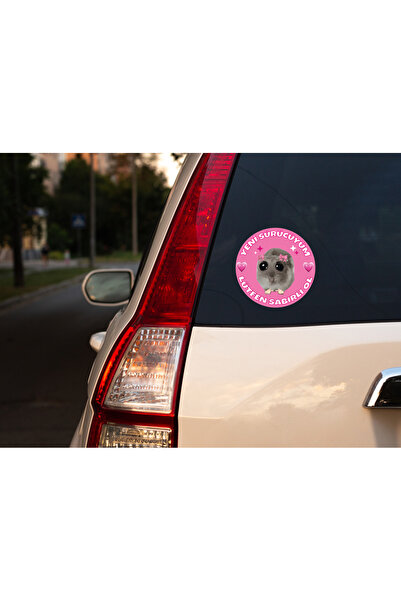 DRN DİZAYN Yeni Sürücüyüm Lütfen Sabırlı Ol Sevimli Pembe Yuvarlak Tasarım Ar...