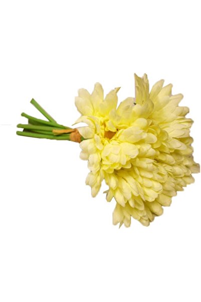 Goliat Bukiet 7 gerber na gumowanych łodygach w kolorze kremowym