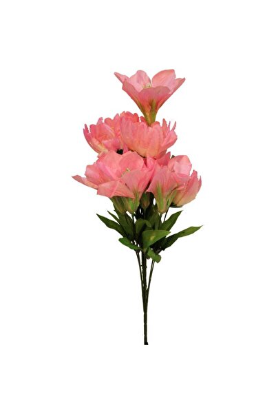 Goliat BUKIET 9 KWIATÓW MIX LILIA -AMARYLIS KOLOR RÓŻOWY