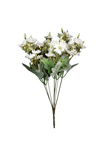 Goliat Bukiet 7 gałązek z 35 kwiatami chryzantemy kolor biały