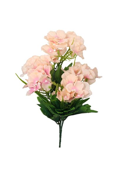 Goliat Bukiet 6 hortensji z dodatkami w kolorze łososiowym