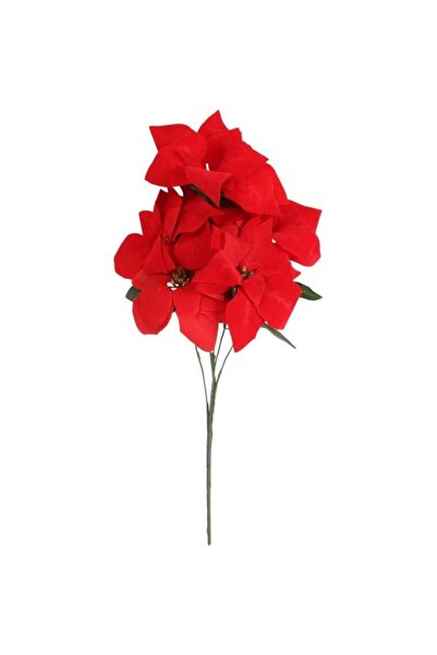 Goliat Bukiet 5 dużych POINSECJI WELUROWYCH 55 cm KOLOR CZERWONY