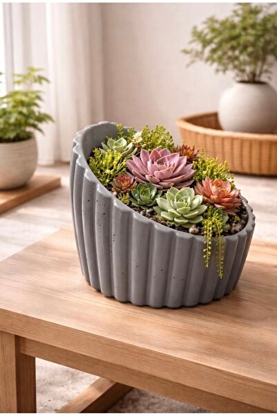 Store Modern Beton Saksı