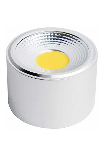 Royal 15W LED Surface Mounted Spotlight