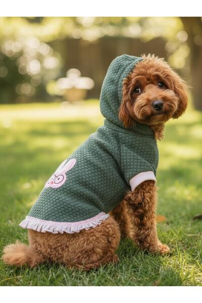 Kemique Bunnypop Hooded Dog Dress – Green Pink