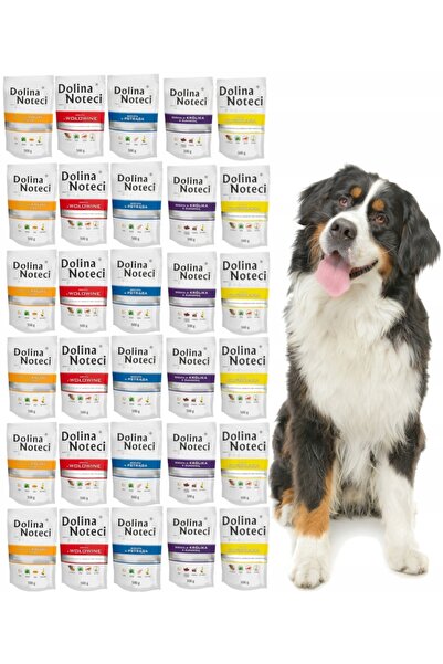 Dolina Noteci Premium Super MIX 30x500g