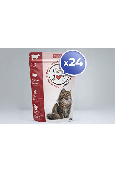 Dog Joy 24X Pack - Cat Joy Wet Food for Adult Cats with Beef in Delicious Gra...