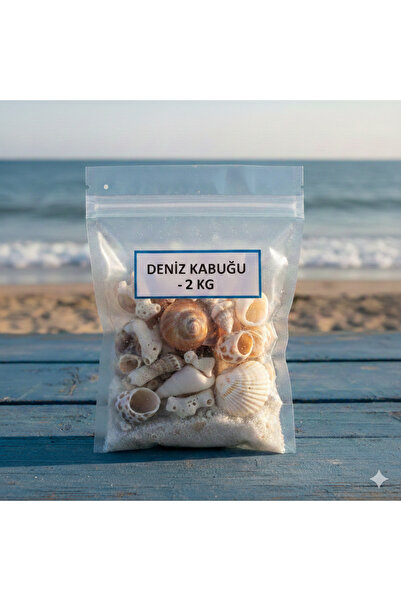 Doğal Deniz Kabuğu– Dekoratif, El Yapımı Süs, Mum & Teraryum Süsü,AkvaryumveNikahŞekeriİçin