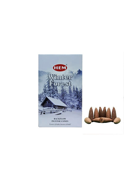 Epilons مخاريط التدفق الخلفي وينتر فورست 10 قطع