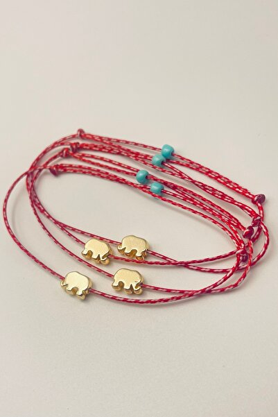 Concept HuBuTU Gift Set of 4 Figured Cards and Gelatin Luxury Marteniçka Brac...