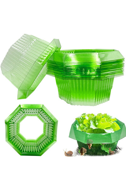 Other Snail Ring Collars - Set of 20 Pieces, Durable Plastic, Ø 24 cm, Plant ...