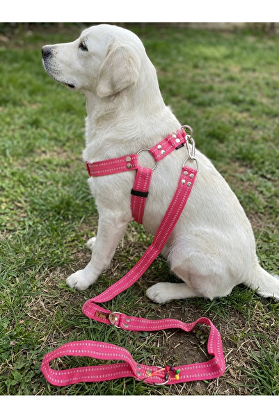balkonda Dog Chest Harness Adjustable and Leash Set of 2 for Small, Medium & ...