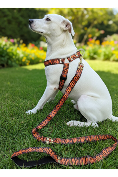 balkonda Dog Chest Harness Adjustable and Leash Set of 2 for Small, Medium & ...