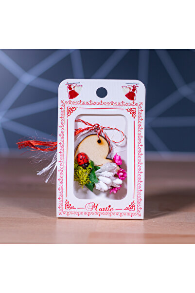 Creators of Crafts Martisor verde cu flori uscate si licheni- Hand made