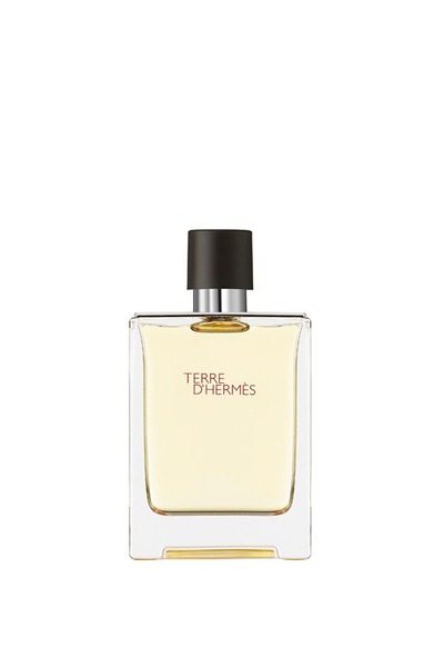 Hermes Terre d'Hermes Eau De Toilette EDT parfüm 100 ml Elsbeauty