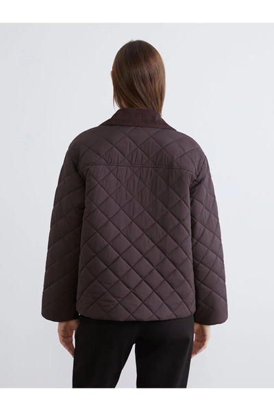 LC Waikiki Brown Velvet Shirt Collar Quilted Women's Puffer Coat