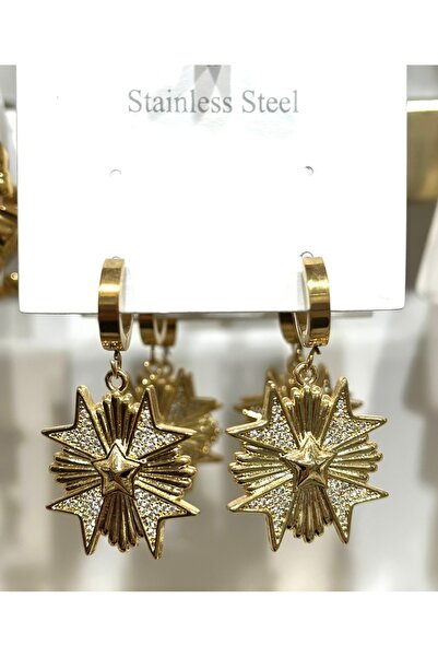 GLOW ACCESSORIES BAE Stainless Steel Earrings with Stainless Steel Charms