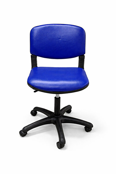 sadık ofis Ergonomik Ofis Sandalyesi | Ayarlanabilir Yükseklik Ofis & Ev Kull...