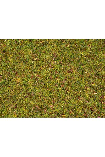 Noch 8155 Statik Çim, Çiçekli Çayır, 2.5 mm, 120 Gram Diorama Malzemesi