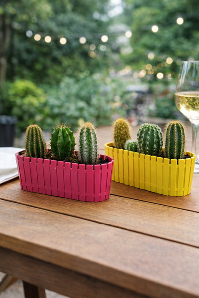 Binbirreyon 2 Adetli Mini Uzun Kaktüs Saksısı 17,5cm AH146