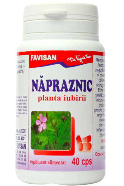 Favisan NAPRAZNIC, 40 capsule,