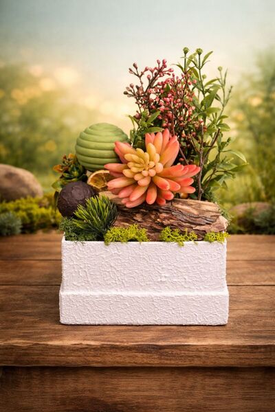 Derin Düşler El Yapımı Masaüstü Ahşap Saksılı Sukulent Masa Dekoru Hediyelik ...