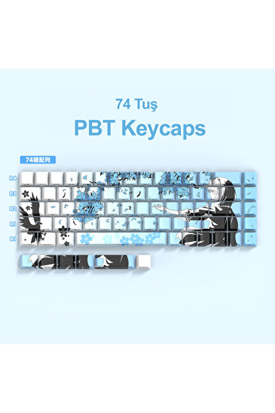 silabor 74 Tuş Orijinal Yan Baskılı Yarı Saydam PBT Süblimasyon Mekanik Klavy...