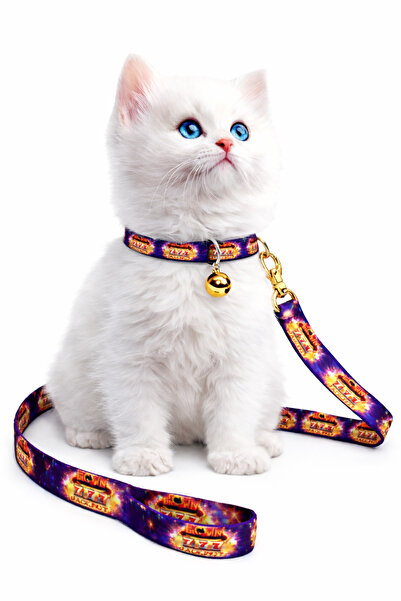Angelapets Cat Collar and Travel Strap Set