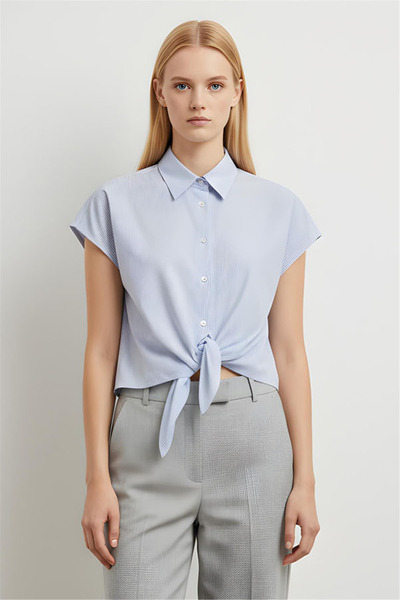 Perspective Blue and White Striped Classic Collar Short Shirt