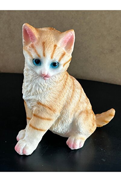 Allegro Kedi Biblo