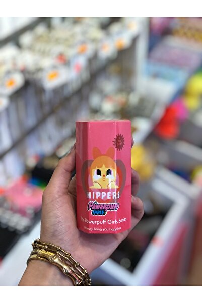 İNCİ AKSESUAR Sonny Angel Capybara-Labubu-HelloKitty-Teletabi-Power Puff-Hamb...