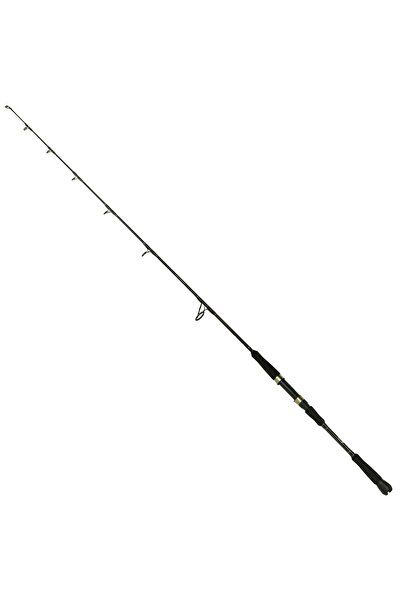 CAPTAIN 1437 Montano Big Boat 2 Parça Karbon Tekne Kamışı 20-30lbs Atar 197 CM