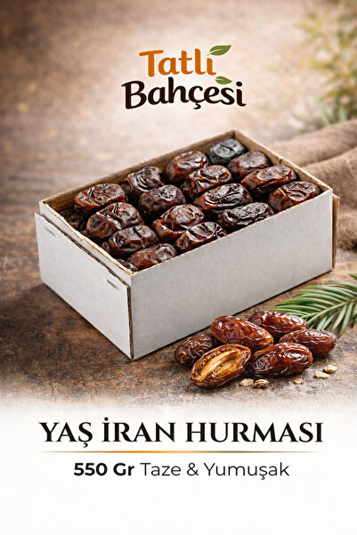 MAZAFAT Yaş Hurma İran 550-620 Gr Premium Taze Ramazan Hurması Doğal Kutu