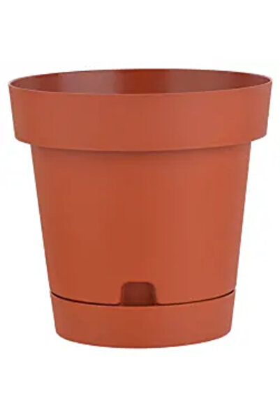 Terra Ghiveci cu farfurie detașabilă, 20 cm, teracotă
