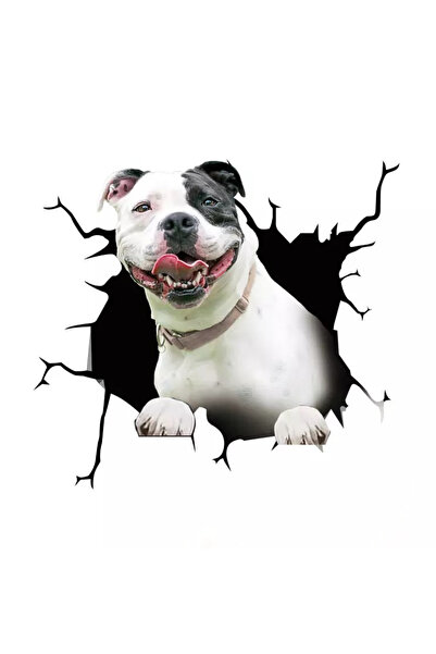 MaffStuff Sticker decorativ caine Pitbull American, 30 x 30 cm