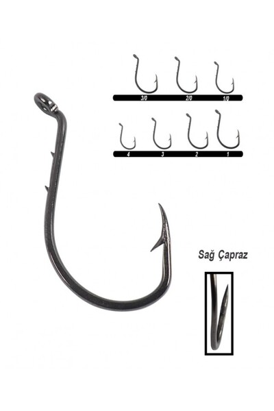 YOUVELLA 1355 Delikli Tırnaklı Papağan Olta İğnesi 100'lü Kutu Black Nikel