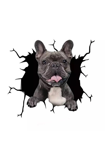 MaffStuff Decorative sticker French Bulldog dog black, 30 x 30 cm