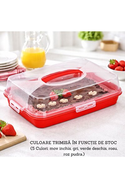 Mira Home PASTA BOX WITH Sheer LID AND CLOSING SYSTEM 5 COLORS SHIPPED BASED ...