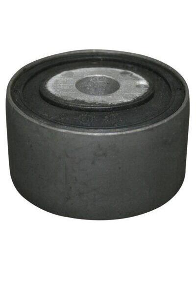 Other Original 202 rear differential mount