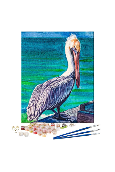 Other Paint by Numbers Set - Pelican, Acrylic Colors, Linen Canvas, 3 Brushes...